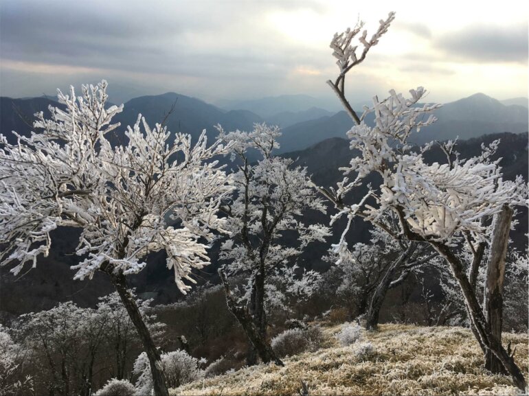 冬の丹沢