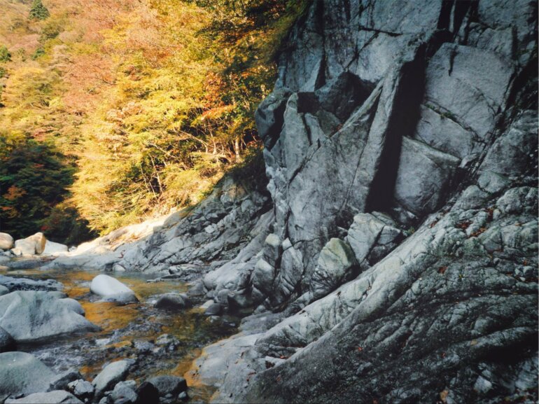 西丹沢 石英閃緑岩