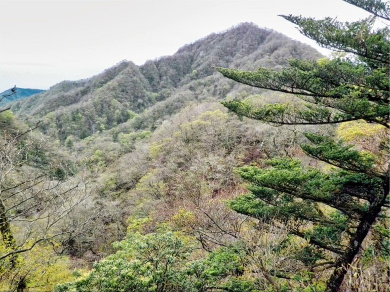 西丹沢 檜洞丸