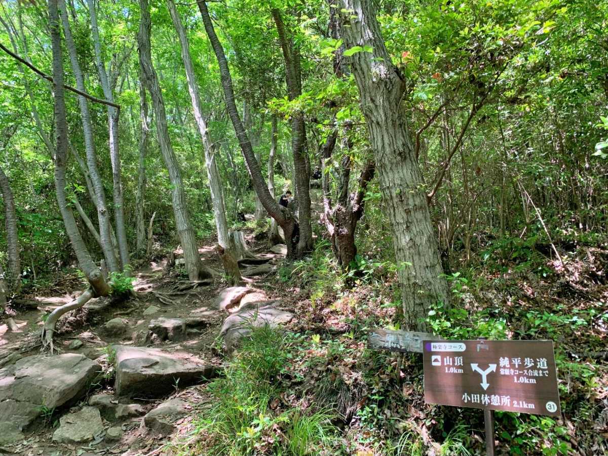 筑波山のお隣、宝篋山（ほうきょうさん）｜眺望抜群の日帰りコースをガイドが解説【首都圏のおすすめ低山】 | YAMAP MAGAZINE