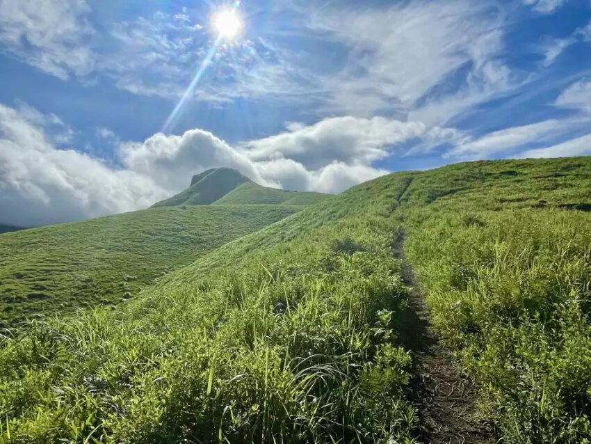草原が広がる一ノ峯の稜線（qchan9chanさんの活動日記より）