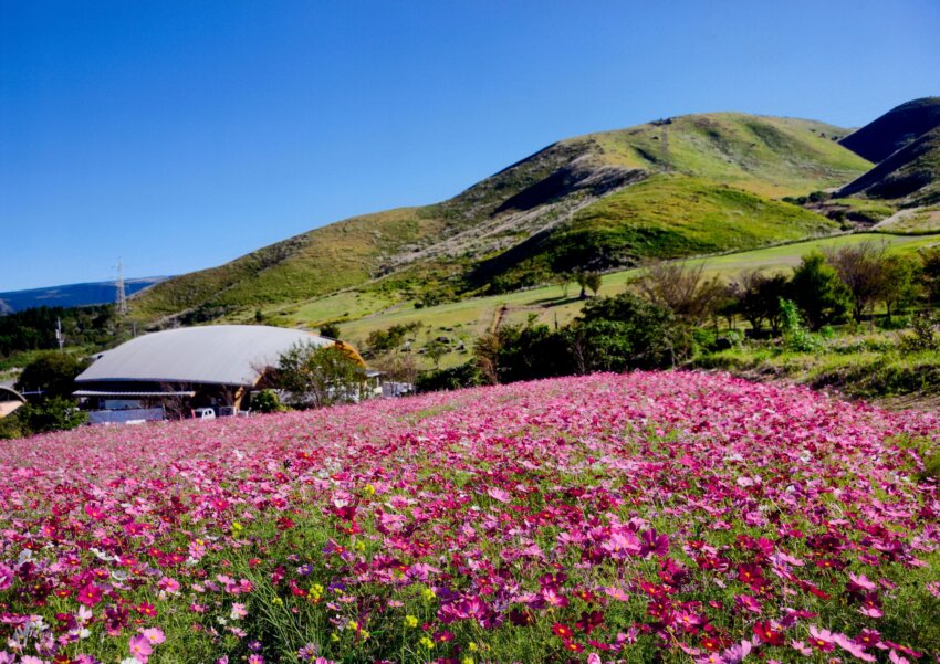俵山交流館　萌の里