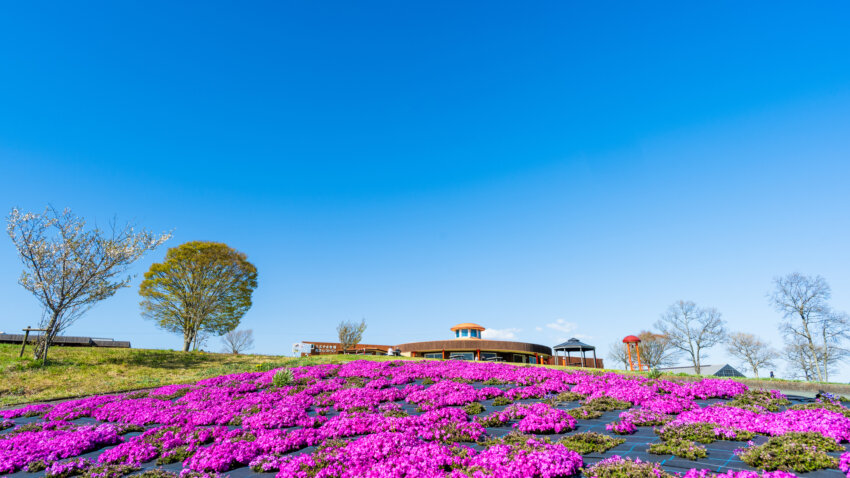 UBUYAMA PLACE