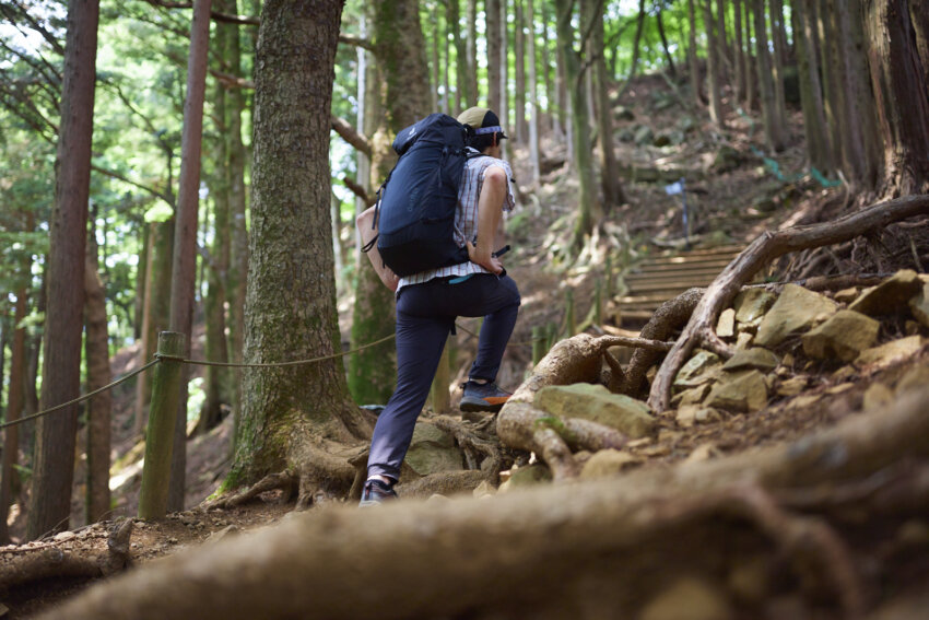 登山中のタンパク質の重要性